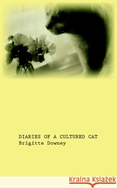 Diaries of a Cultured Cat Brigitte Downey 9781905529681 Grosvenor House Publishing Limited - książka