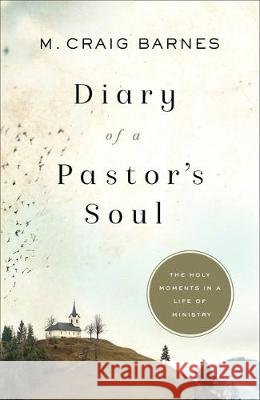 Diary of a Pastor's Soul Barnes, M. Craig 9781587434907 Brazos Press - książka