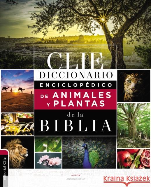 Diccionario Enciclopédico de Animales Y Plantas de la Biblia Cruz, Antonio 9788419055262 CLIE - książka