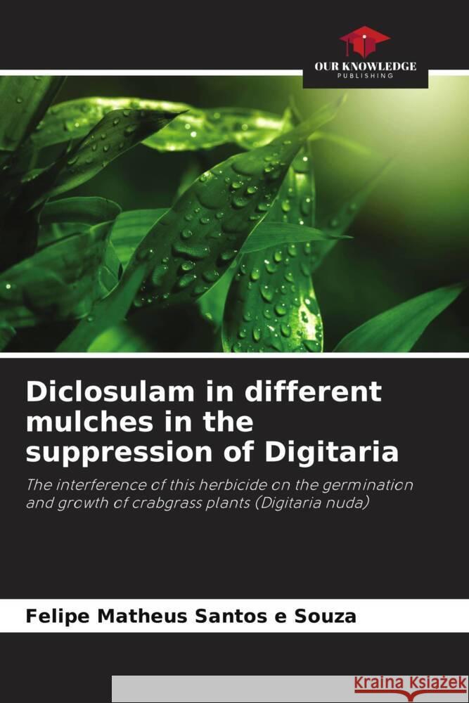 Diclosulam in different mulches in the suppression of Digitaria Santos e Souza, Felipe Matheus 9786208606831 Our Knowledge Publishing - książka
