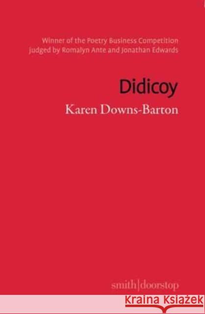 Didicoy Karen Downs-Barton 9781914914379 Smith|Doorstop Books - książka