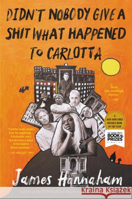 Didn't Nobody Give a Shit What Happened to Carlotta  9780316286282  - książka