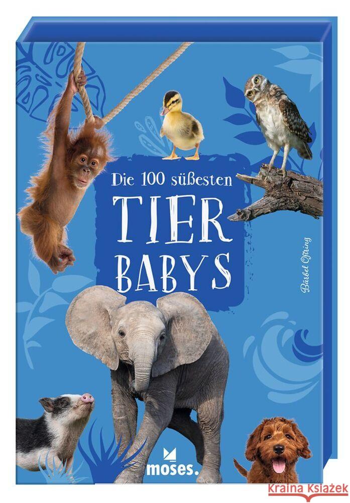 Die 100 süßesten Tierbabys Oftring, Bärbel 9783964553812 moses. Verlag - książka
