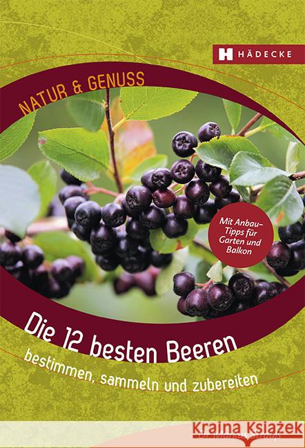 Die 12 besten Beeren Strauß, Markus 9783775008112 Hädecke - książka