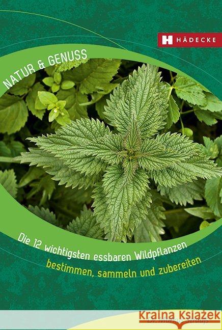 Die 12 wichtigsten essbaren Wildpflanzen : Bestimmen, sammeln und zubereiten Strauß, Markus 9783775007993 Hädecke - książka