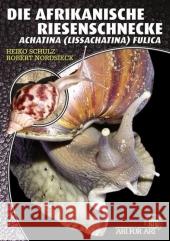 Die Afrikanische Riesenschnecke : Achatina (Lissachatina) Fulica Schulz, Heiko Nordsieck, Robert   9783866590854 Natur und Tier-Verlag - książka