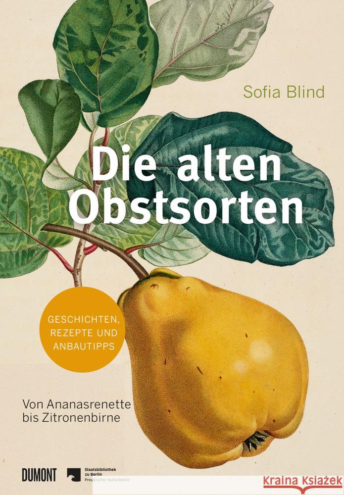 Die alten Obstsorten Blind, Sofia 9783832199883 DuMont Buchverlag - książka
