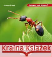 Die Ameise Straaß, Veronika 9783867607698 Hase und Igel - książka