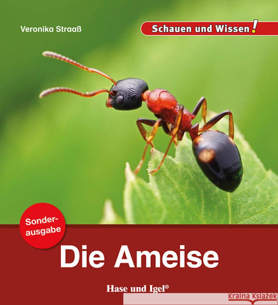 Die Ameise / Sonderausgabe Straaß, Veronika 9783863163563 Hase und Igel - książka