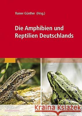 Die Amphibien Und Reptilien Deutschlands Rainer Ga1/4nther 9783827423221 Spektrum Akademischer Verlag - książka