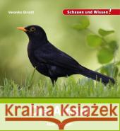 Die Amsel Straaß, Veronika 9783867607643 Hase und Igel - książka