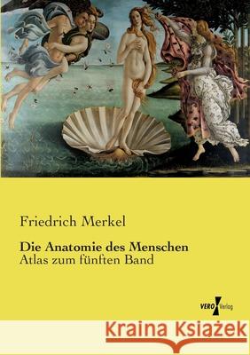 Die Anatomie des Menschen Merkel, Friedrich 9783737213530 Vero Verlag in hansebooks GmbH - książka