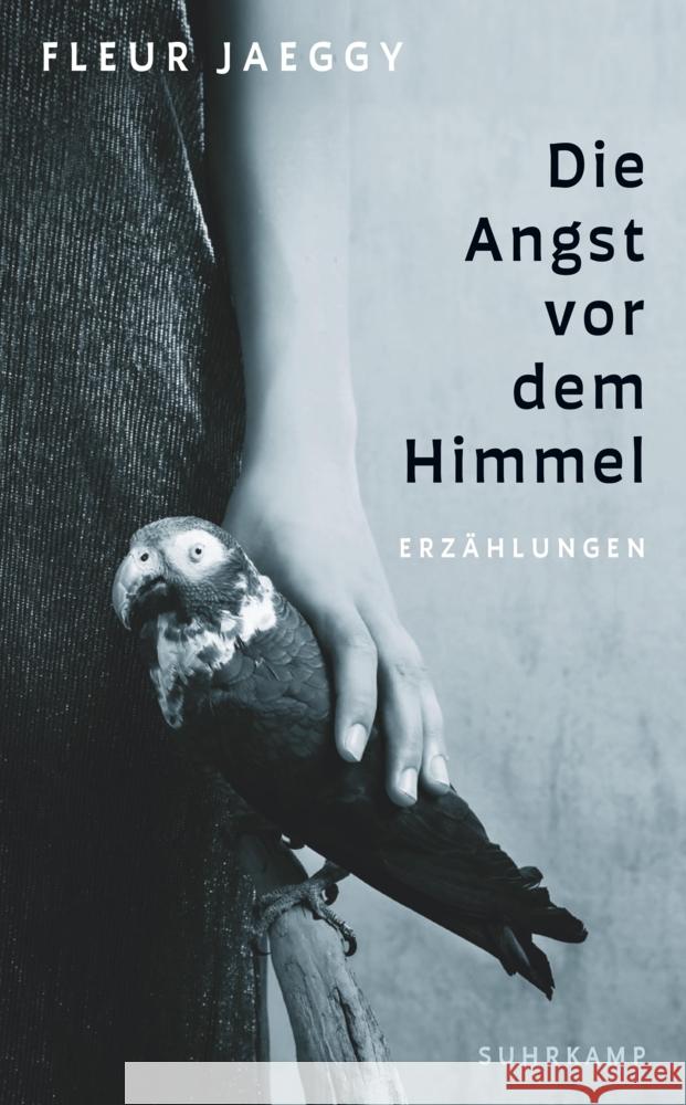 Die Angst vor dem Himmel Jaeggy, Fleur 9783518474280 Suhrkamp - książka