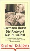 Die Antwort bist du selbst : Briefe an junge Menschen Hesse, Hermann Michels, Volker  9783458342830 Insel, Frankfurt
