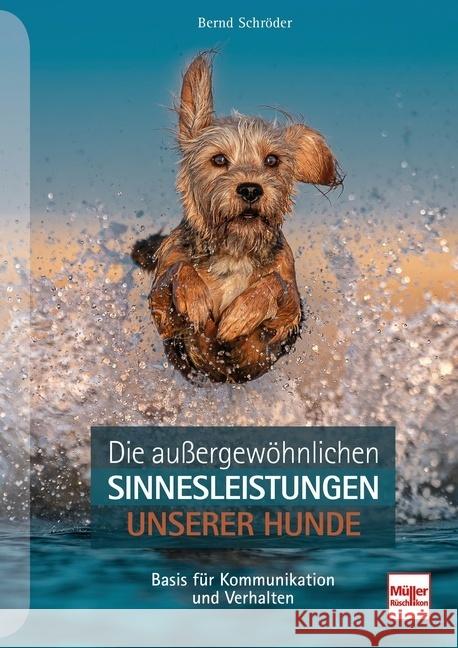 Die außergewöhnlichen Sinnesleistungen unserer Hunde Schröder, Bernd 9783275022571 Müller Rüschlikon - książka