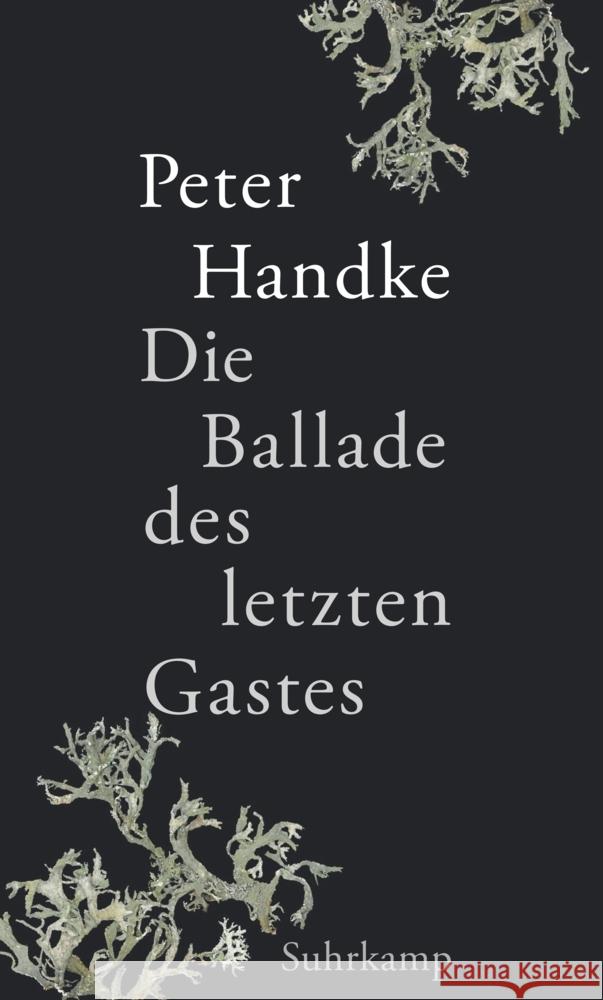 Die Ballade des letzten Gastes Handke, Peter 9783518431542 Suhrkamp - książka