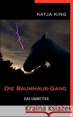 Die Baumhaus-Gang - Das Unwetter Katja King 9783844831177 Books on Demand - książka