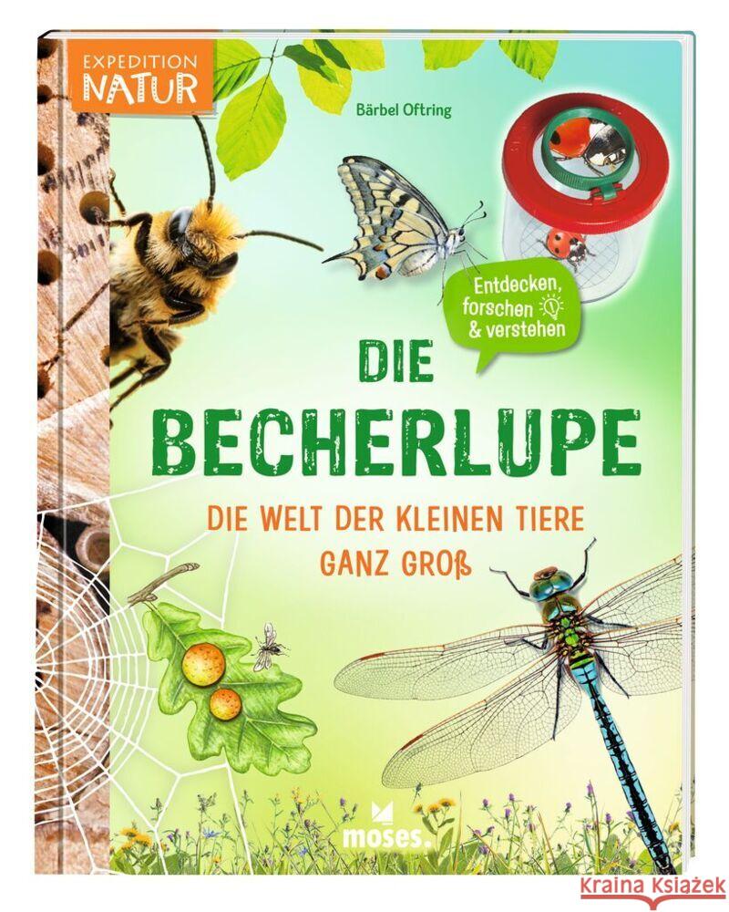 Die Becherlupe Oftring, Bärbel 9783964553089 moses. Verlag - książka