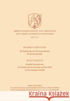 Die Bedeutung Von Thoriumreaktoren Für Die Kerntechnik Schulten, Rudolf 9783322981820 Vs Verlag Fur Sozialwissenschaften - książka