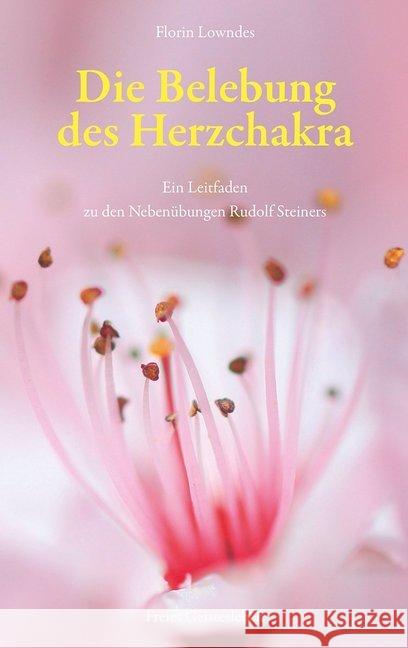 Die Belebung des Herzchakra Lowndes, Florin 9783772527593 Freies Geistesleben - książka