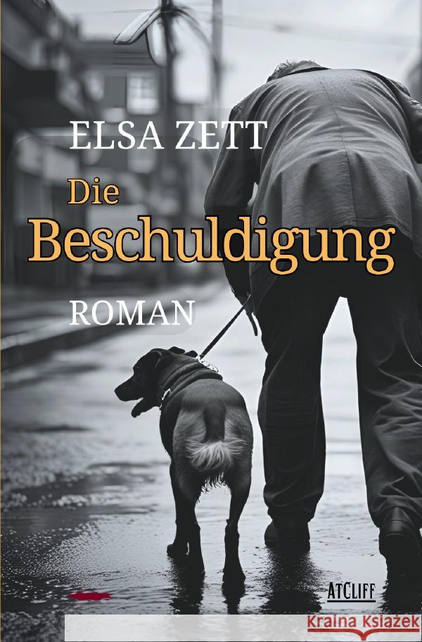 Die Beschuldigung Zett, Elsa 9783565042630 epubli - książka