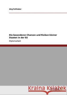 Die besonderen Chancen und Risiken kleiner Staaten in der EU Fehlhaber, Jörg 9783640333585 Grin Verlag - książka