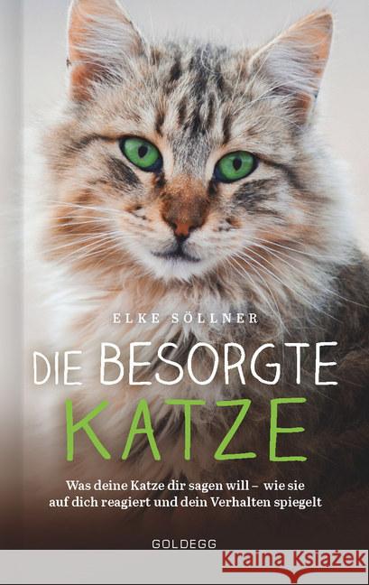 Die besorgte Katze Söllner, Elke 9783990601853 Goldegg - książka