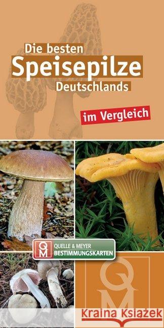 Die besten Speisepilze Deutschlands im Vergleich, Bestimmungskarten  9783494017365 Quelle & Meyer - książka