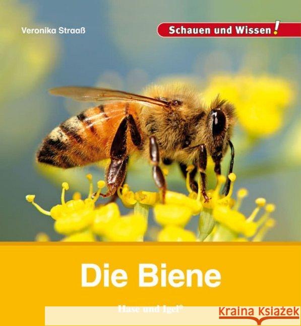 Die Biene Straaß, Veronika 9783867607896 Hase und Igel - książka