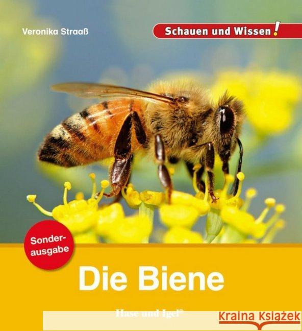 Die Biene / Sonderausgabe Straaß, Veronika 9783867605816 Hase und Igel - książka