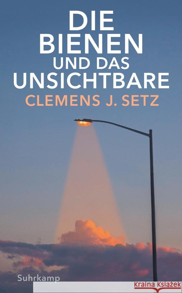 Die Bienen und das Unsichtbare Setz, Clemens J. 9783518472569 Suhrkamp - książka