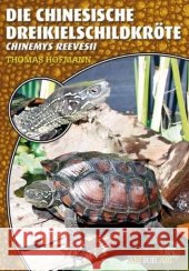 Die Chinesische Dreikielschildkröte : Chinemys reevesii Hofmann, Thomas 9783866591745 Natur und Tier-Verlag - książka