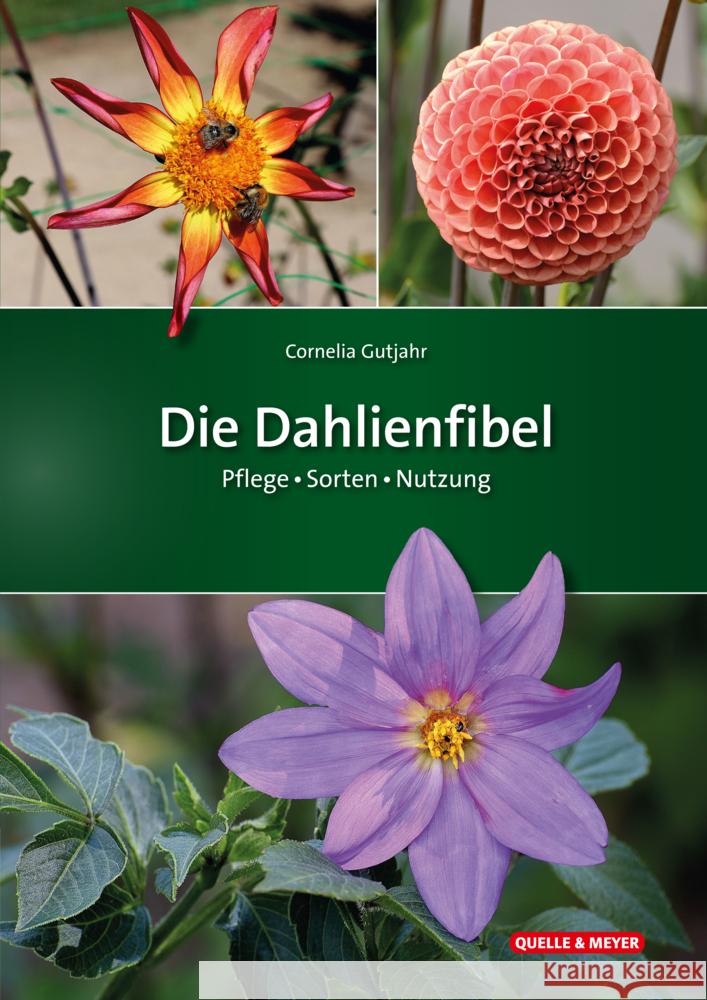 Die Dahlienfibel Gutjahr, Cornelia 9783494019710 Quelle & Meyer - książka