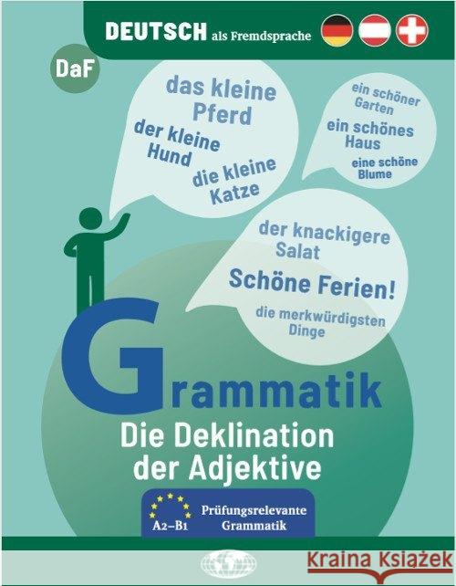 Die Deklination der Adjektive Thomas, Nathalie 9783796110672 Schünemann - książka