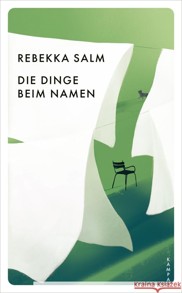 Die Dinge beim Namen Salm, Rebekka 9783311150794 Kampa Verlag - książka