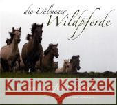 Die Dülmener Wildpferde im Merfelder Bruch Gierse, Jörg   9783877167083 Schnell Buch & Druck - książka