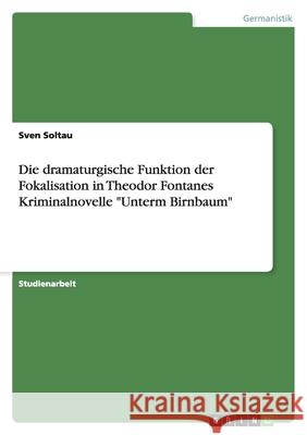 Die dramaturgische Funktion der Fokalisation in Theodor Fontanes Kriminalnovelle 