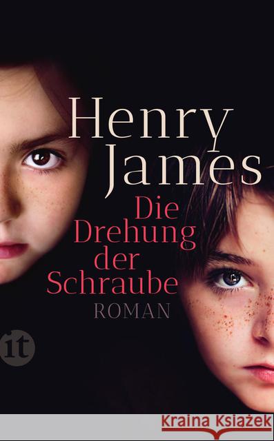 Die Drehung der Schraube : Roman James, Henry 9783458361107 Insel Verlag - książka