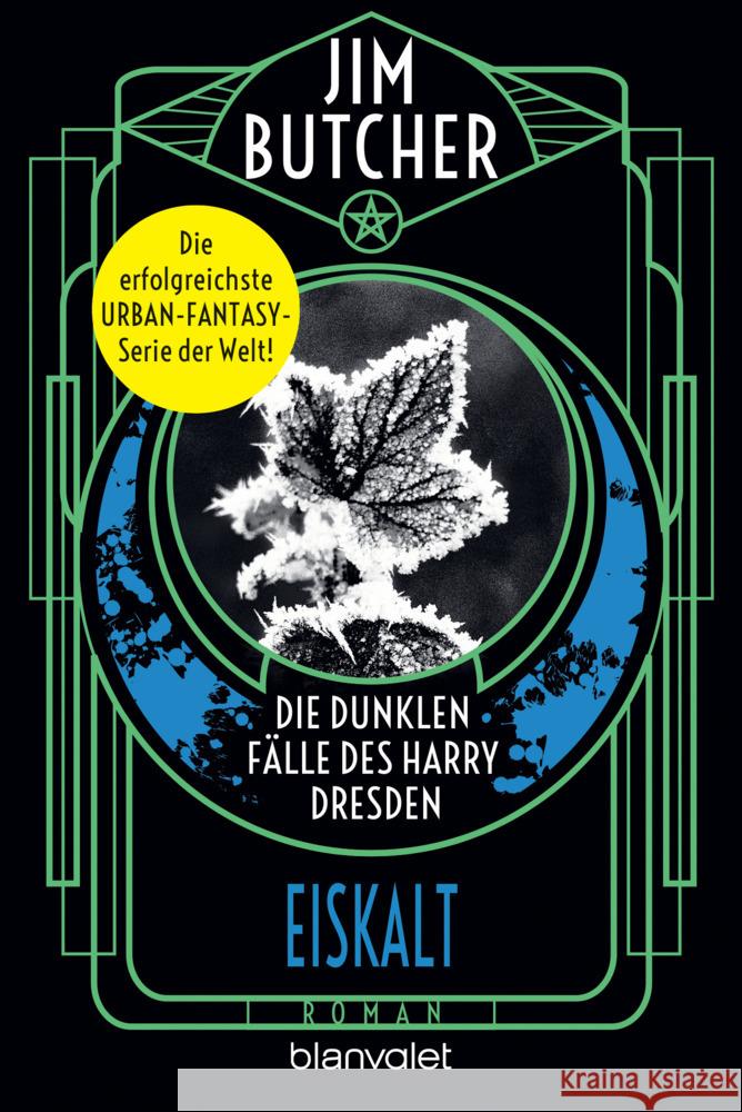 Die dunklen Fälle des Harry Dresden - Eiskalt Butcher, Jim 9783734163753 Blanvalet - książka
