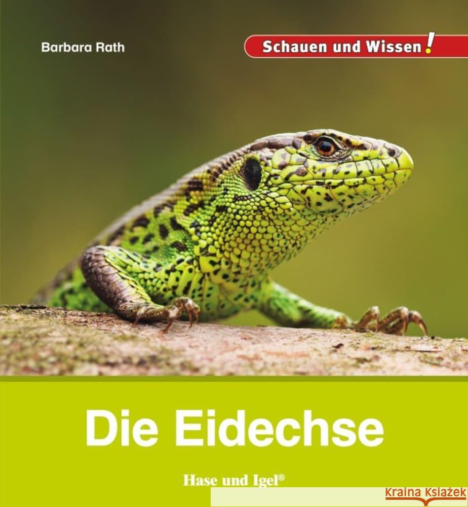 Die Eidechse Rath, Barbara 9783863163693 Hase und Igel - książka