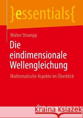 Die eindimensionale Wellengleichung: Mathematische Aspekte im Überblick Walter Strampp 9783662664278 Springer Fachmedien Wiesbaden - książka