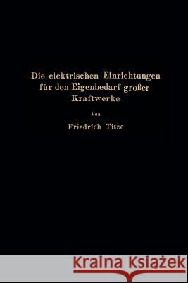 Die Elektrischen Einrichtungen Für Den Eigenbedarf Großer Kraftwerke Titze, Friedrich 9783642904714 Springer - książka