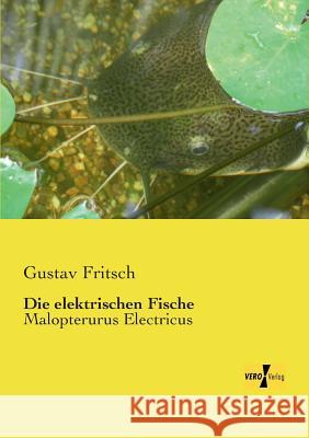 Die elektrischen Fische: Malopterurus Electricus Gustav Fritsch 9783957384232 Vero Verlag - książka