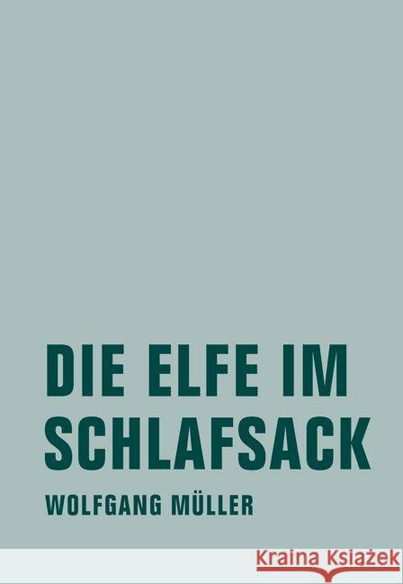 Die Elfe im Schlafsack : Neue Märchen und Fabeln aus Island Müller, Wolfgang 9783957323149 Verbrecher Verlag - książka