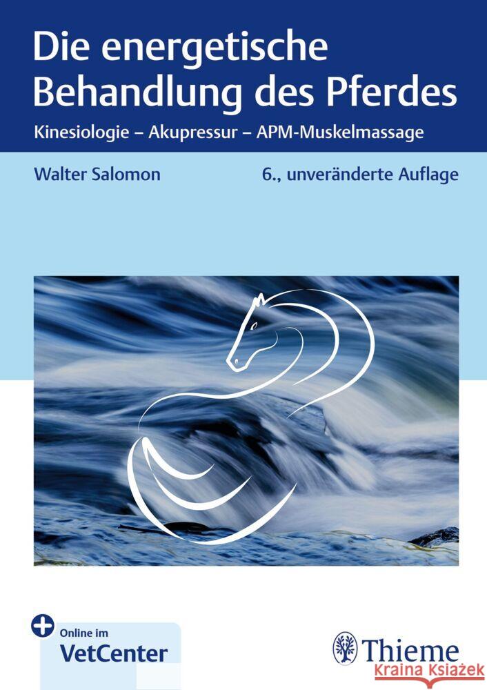 Die energetische Behandlung des Pferdes Salomon, Walter 9783132457621 Thieme, Stuttgart - książka