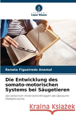 Die Entwicklung des somato-motorischen Systems bei S?ugetieren Renata Figueired 9786207658749 Verlag Unser Wissen - książka