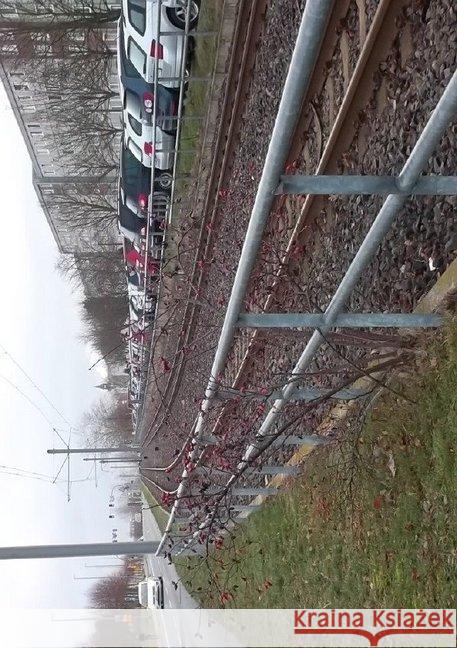 die Erzählungen des Sheik Akim Ziegler, Joachim 9783746798363 epubli - książka