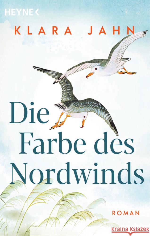 Die Farbe des Nordwinds Jahn, Klara 9783453426252 Heyne - książka