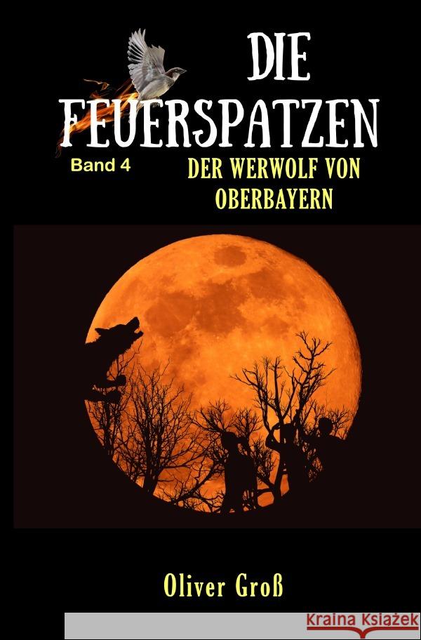 Die Feuerspatzen Groß, Oliver 9783754109052 epubli - książka