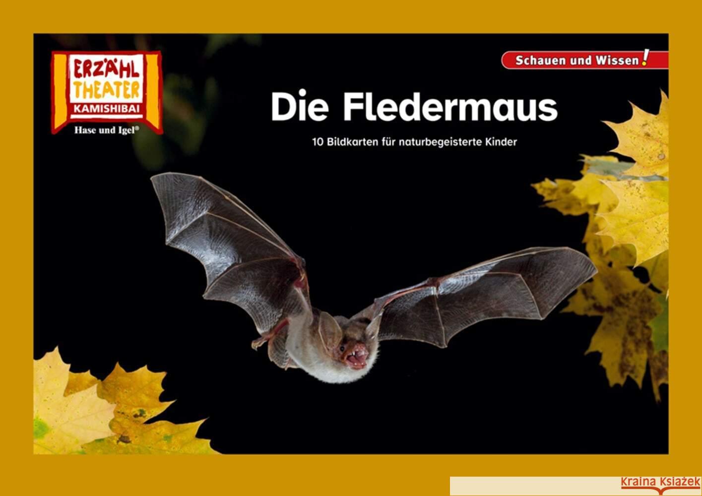 Die Fledermaus / Kamishibai Bildkarten  4260505832926 Hase und Igel - książka